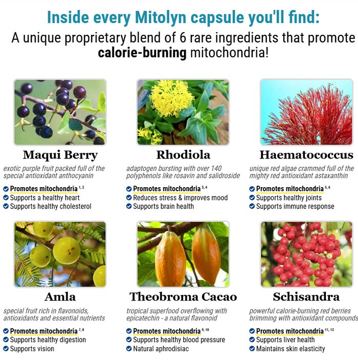 Mitolyn Reviews 2026: Real User Results and Common Complaints